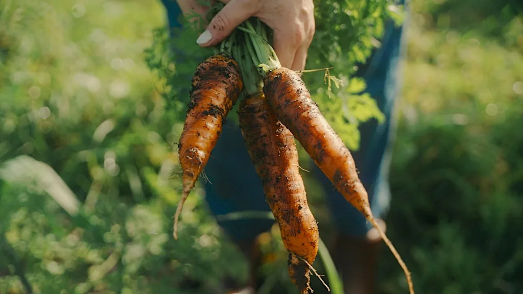 Learn To Grow Your Own Food