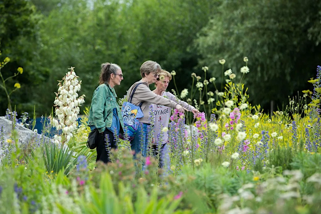 Annie Guilfoyle: Bringing the 10th Garden Masterclass to Liverpool in 2027 at Calderstones Mansion House