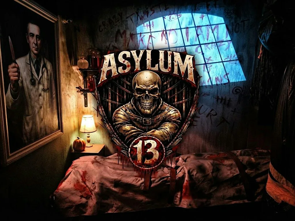 Asylum 13