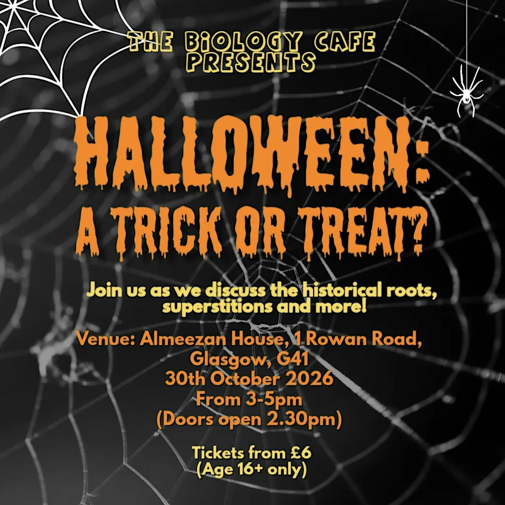 Halloween: A Trick or Treat? at Al Meezan House