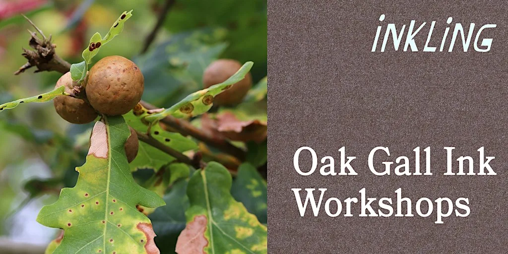Oak Gall Ink Workshop at Inkling
