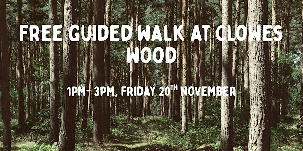 National tree week walk at Clowes wood