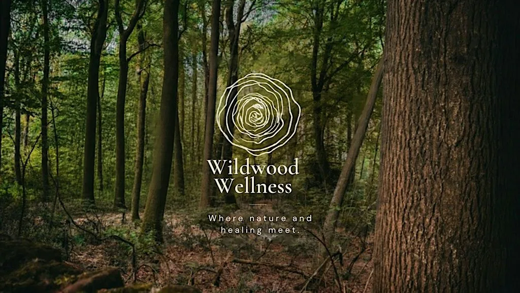 Forest Bathing at Himley Hall
