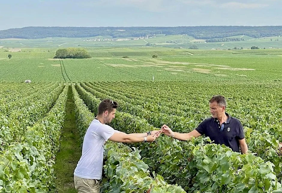Meet the Winemaker: Laurent and Thomas Champs of Champagne Vilmart at Theatre of Wine
