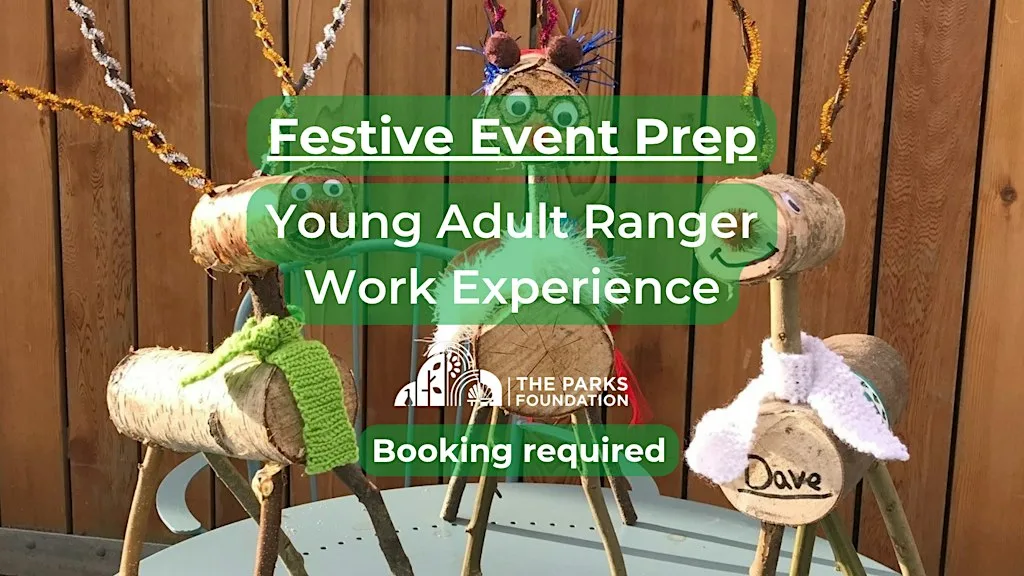 Festive Event Prep - Young Adult Ranger Work Experience at Kingfisher Barn at Kingfisher Barn, Stour Valley Nature Reserve
