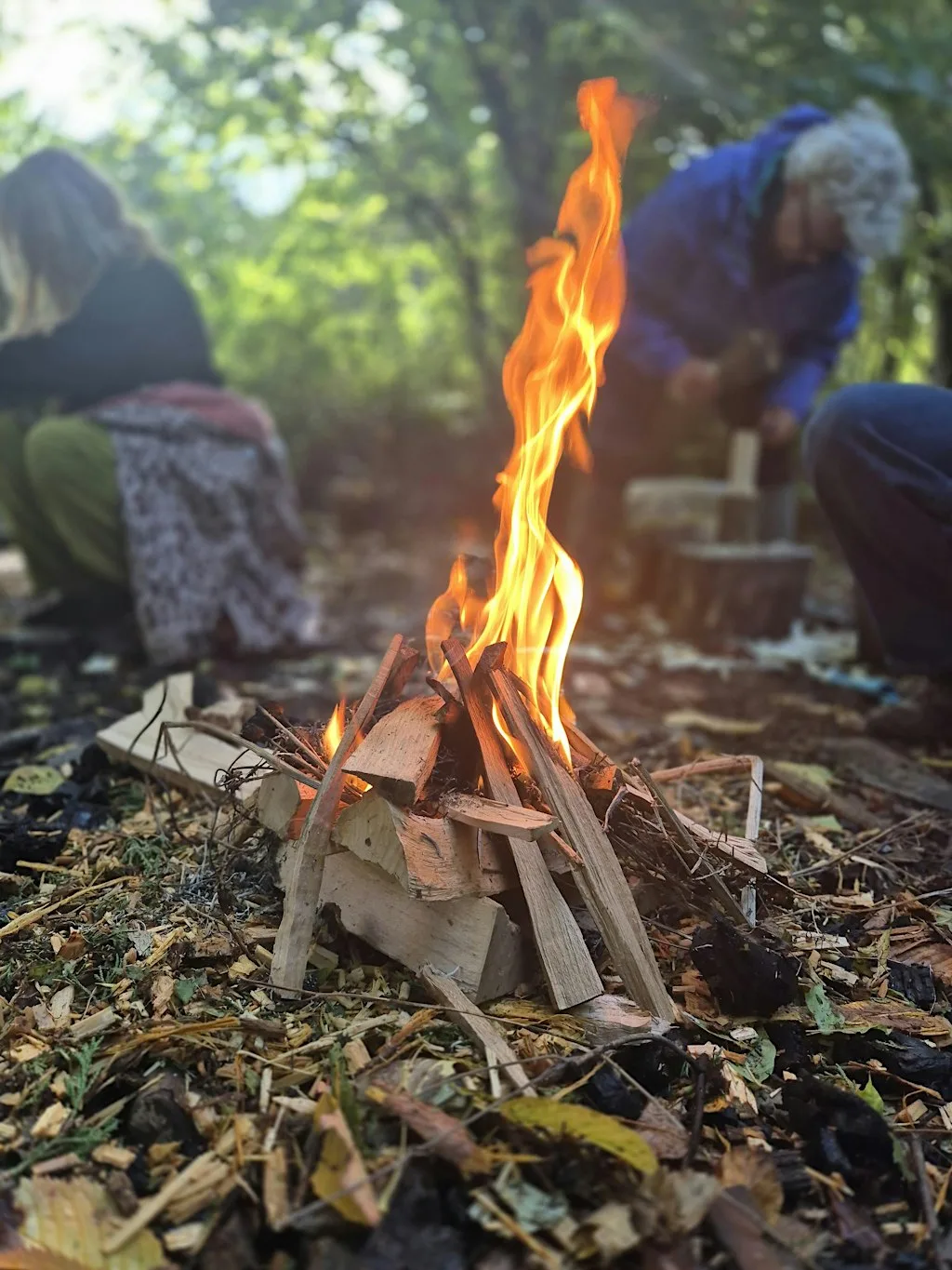 Hands, Fire and Forest
