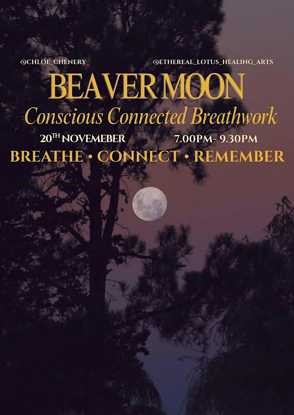 Beaver Moon Breathwork Journey at The Loft at Little Dippers
