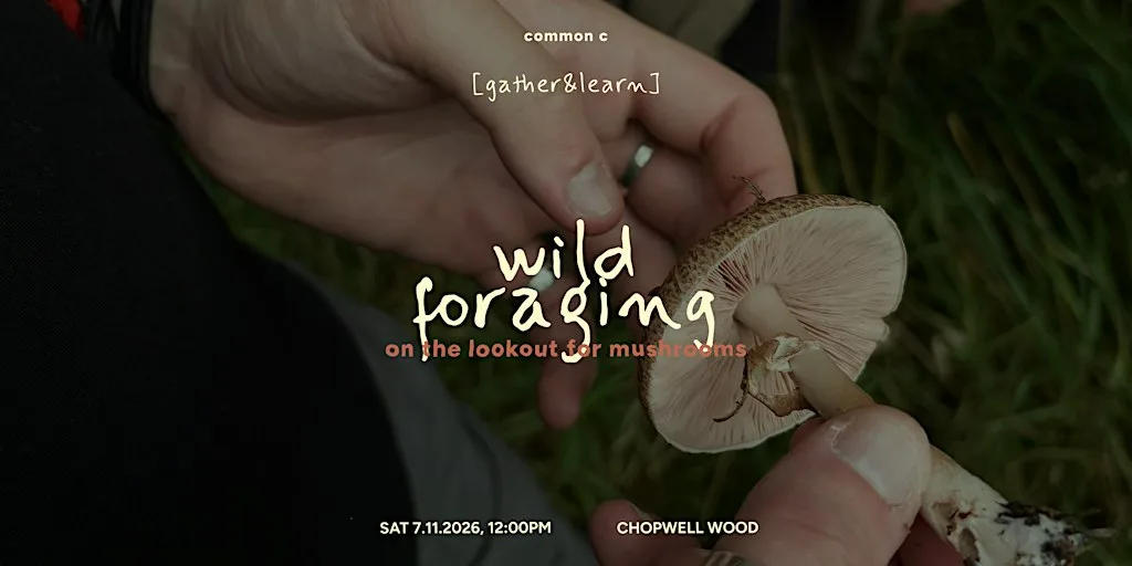 Wild Foraging: on the lookout for mushrooms at Chopwell Wood (meet at car park)