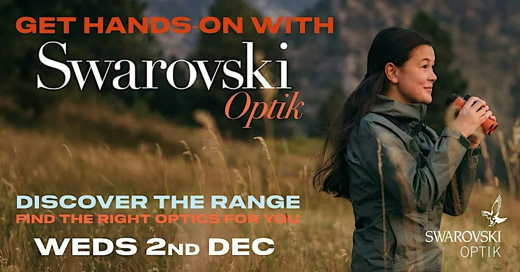 Swarovski In Store Day