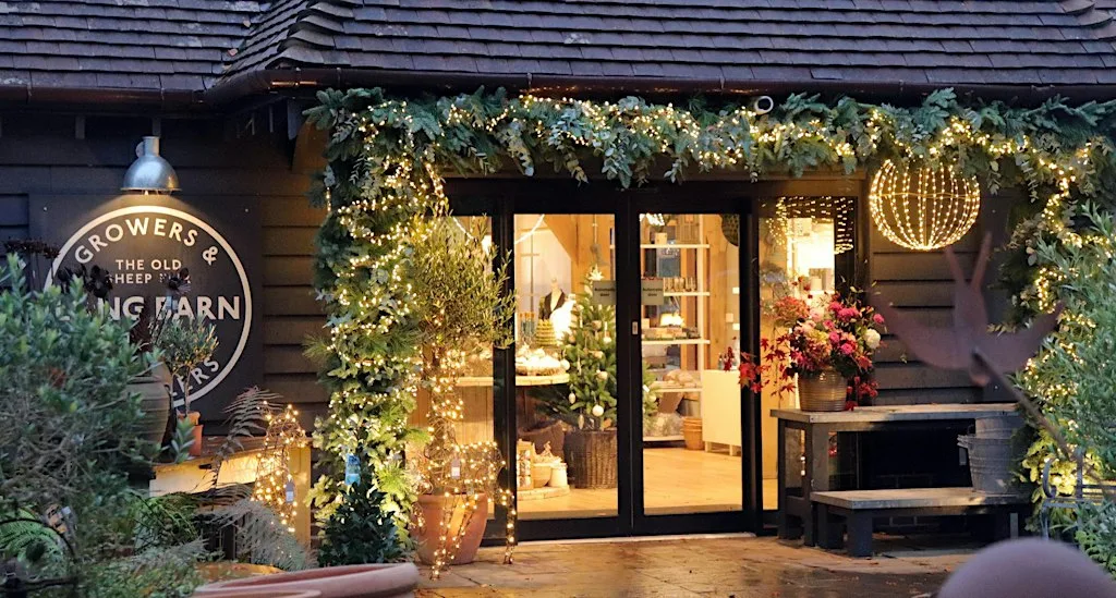 Late-Night Christmas Shopping Day