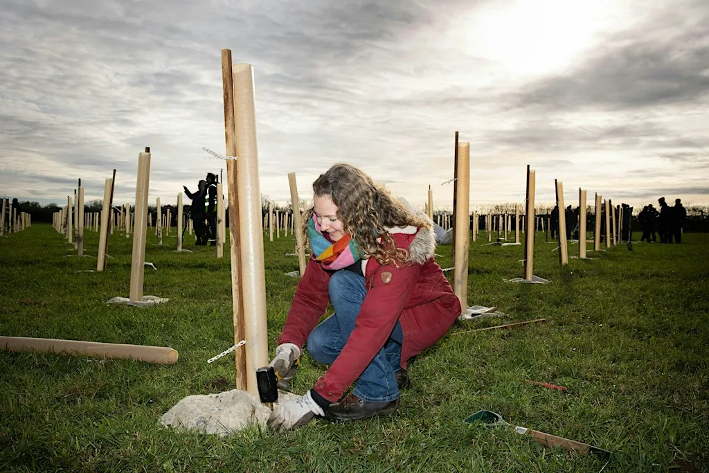 Tree planting at Pucklechurch Wood at Pucklechurch