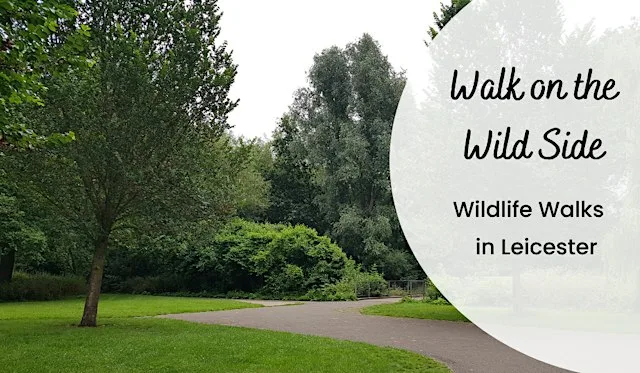 A Walk on the Wild Side – Humberstone Park