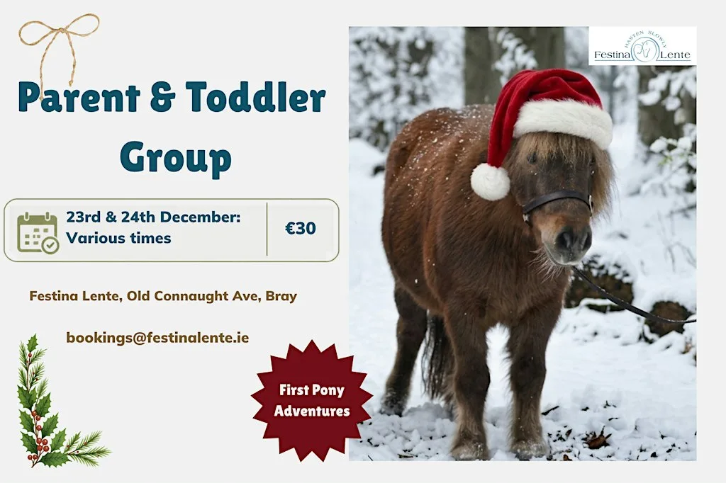 First Pony Adventures: Parent & Toddler Group (December) at Festina Lente Enterprises CLG