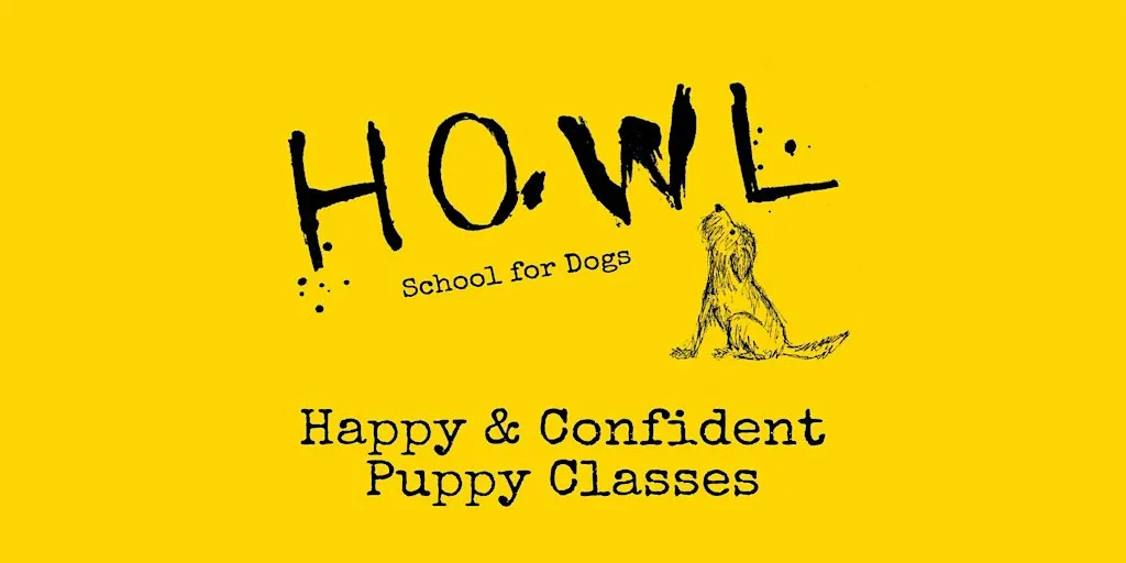 Happy & Confident Puppy Classes (Block of 6) at St Mary Magdalene Community Church Hall