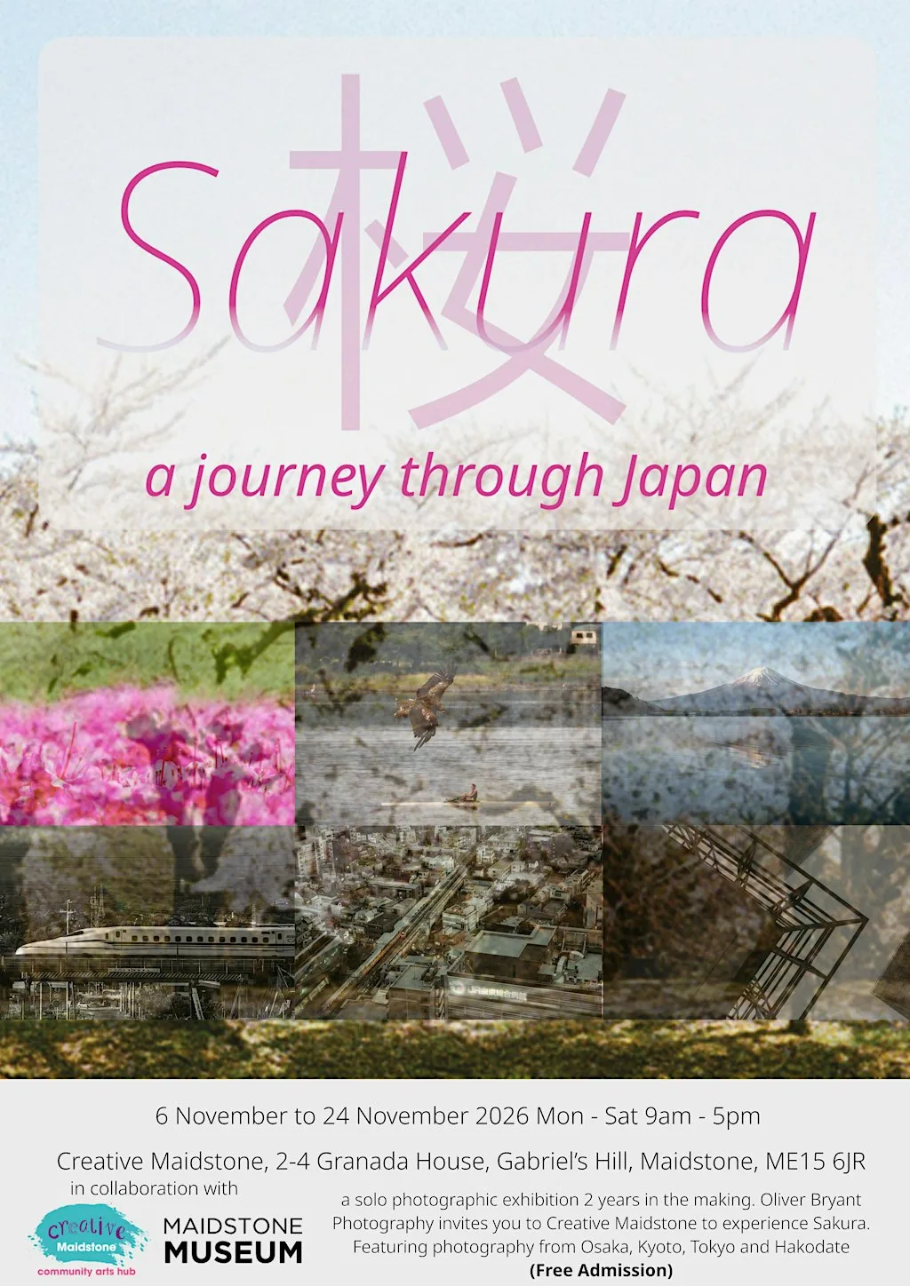 Sakura: A Journey Through Japan Curator Tour at Creative Maidstone: Community Arts Hub