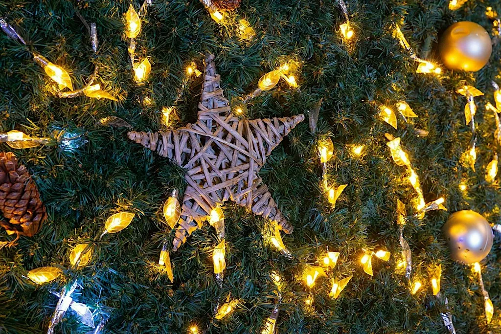 Christmas Community Connections: Civic Networking & Lightning Talks