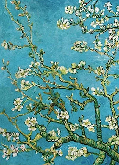 Oil Painting : Flowers at The Friends Meeting House