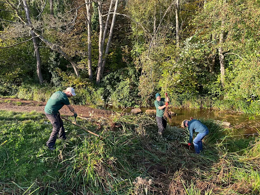 Bramble Root Removal and Pond Clearance at Midsomer Norton Town Park at Midsomer Norton Town Park