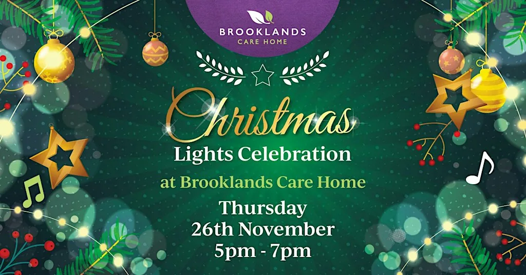 Christmas Lights Celebration