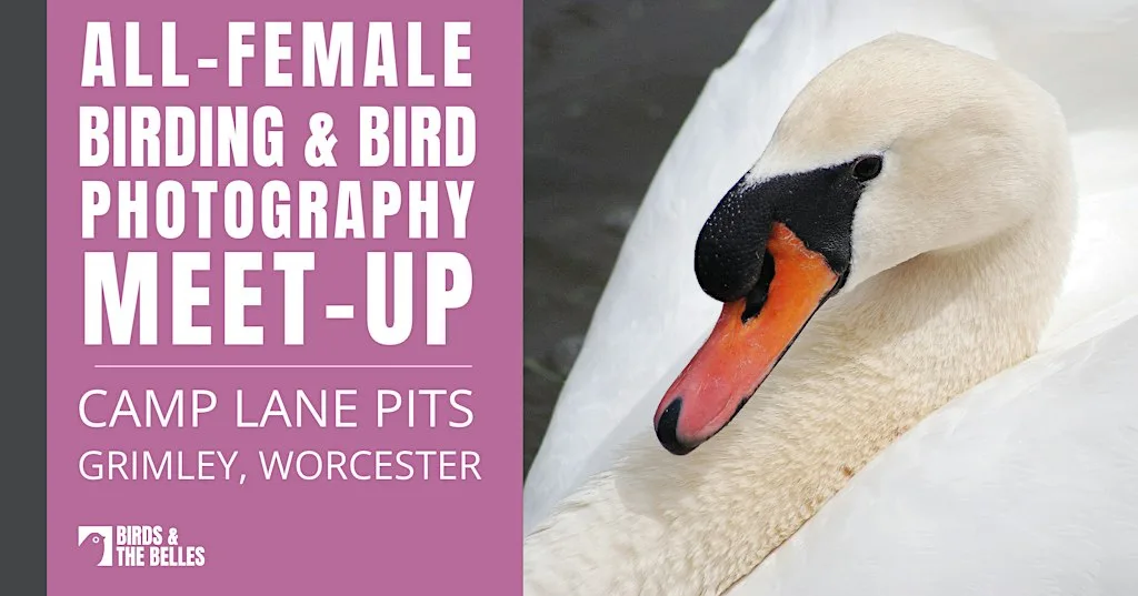 All-Female Bird & Bird Photography Morning