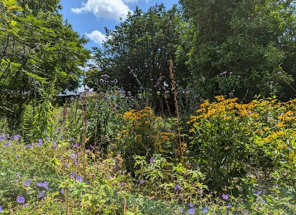Drawing a 'Green Future' at Forest Farm Country Park
