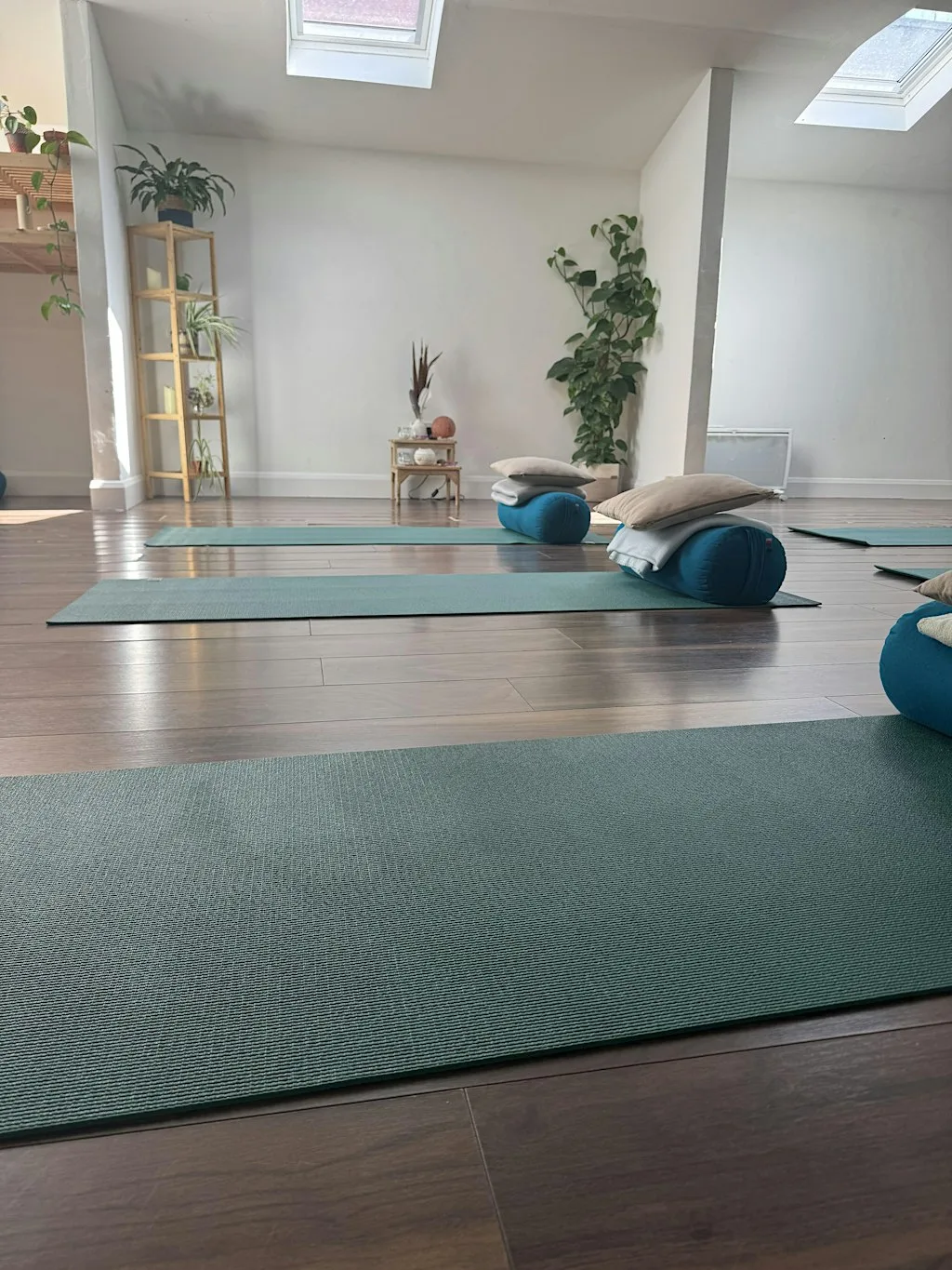 4 Week Beginner Yoga Course at Tribe Flow Studio