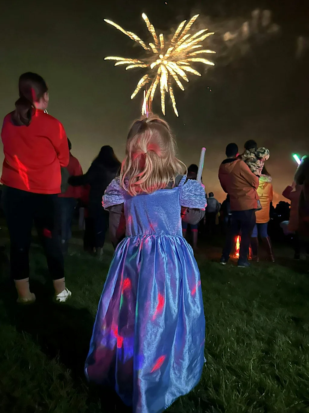 Pangbourne Fireworks at Pangbourne Primary School