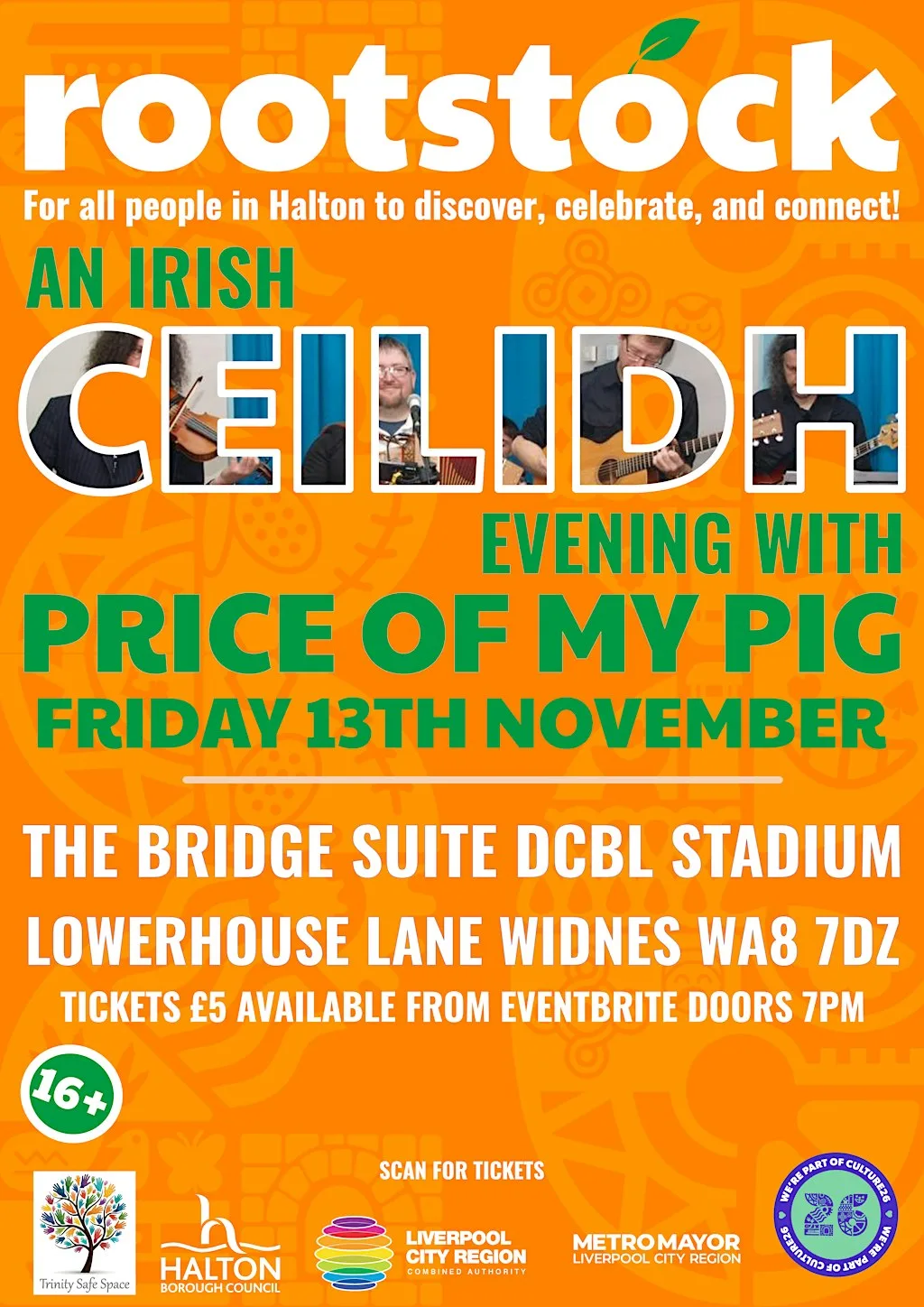 Irish ceilidh with Price of My Pig