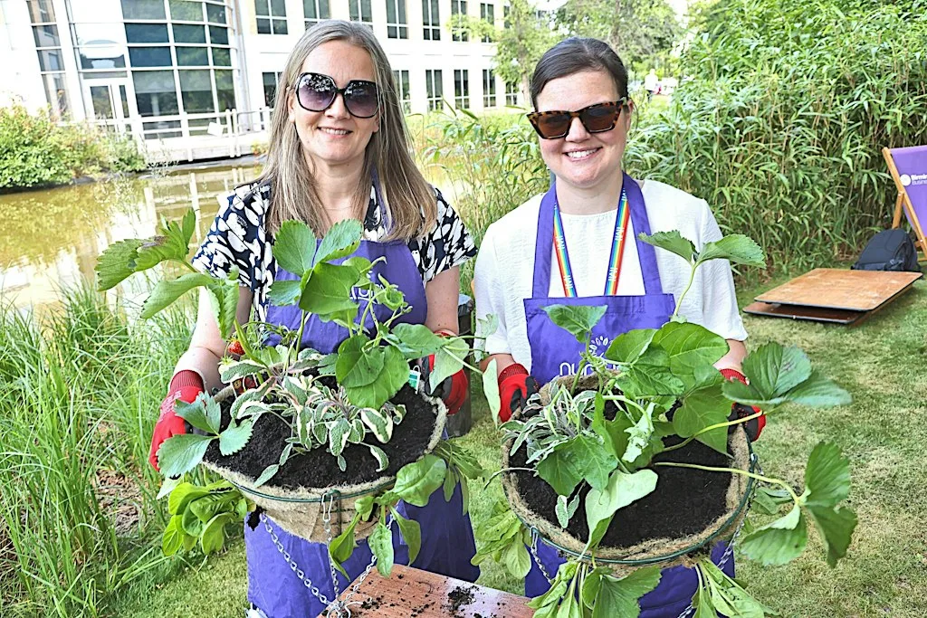 Bulb Planting with IPM