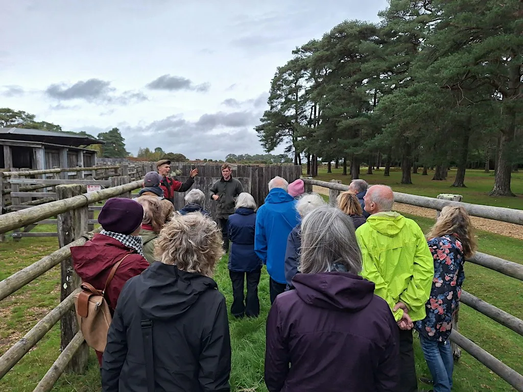New Forest Walking Festival 2026: Commoning walk in the New Forest
