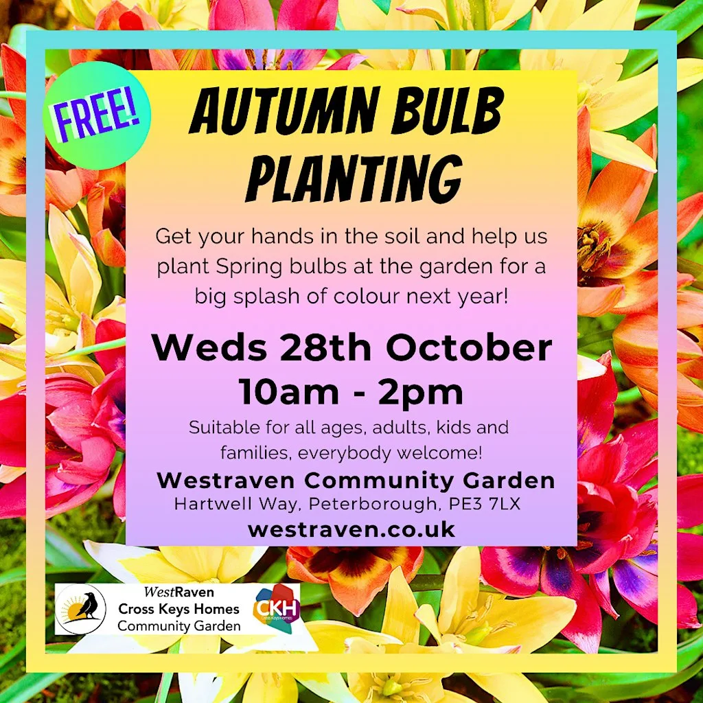 Autumn Bulb Planting & Eco Activities