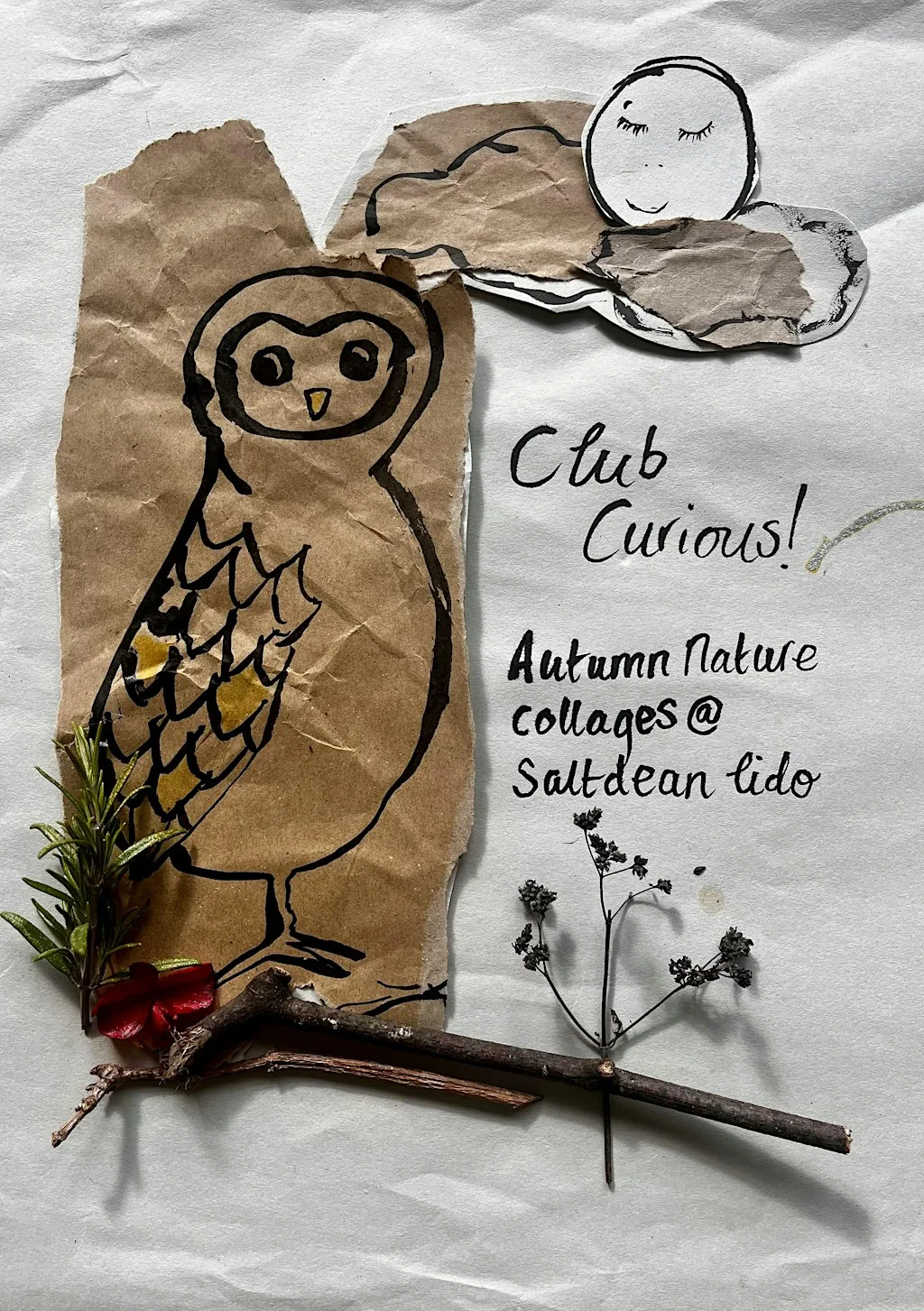 Club Curious: Autumn Nature Collages - Thur 29 Oct, 1:15 at Saltdean Lido