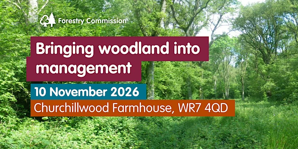 Bringing woodland into management