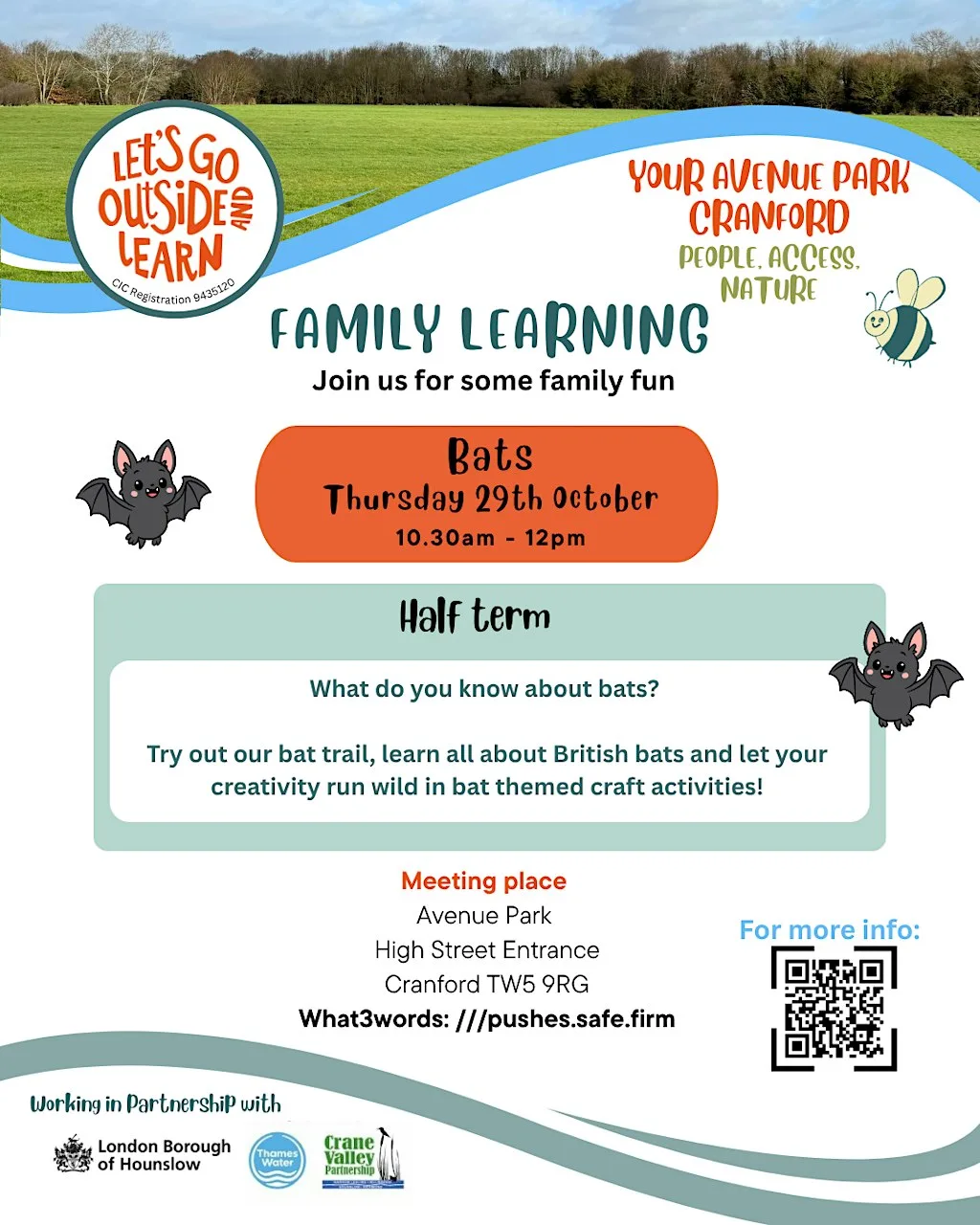 Family Learning - Bats