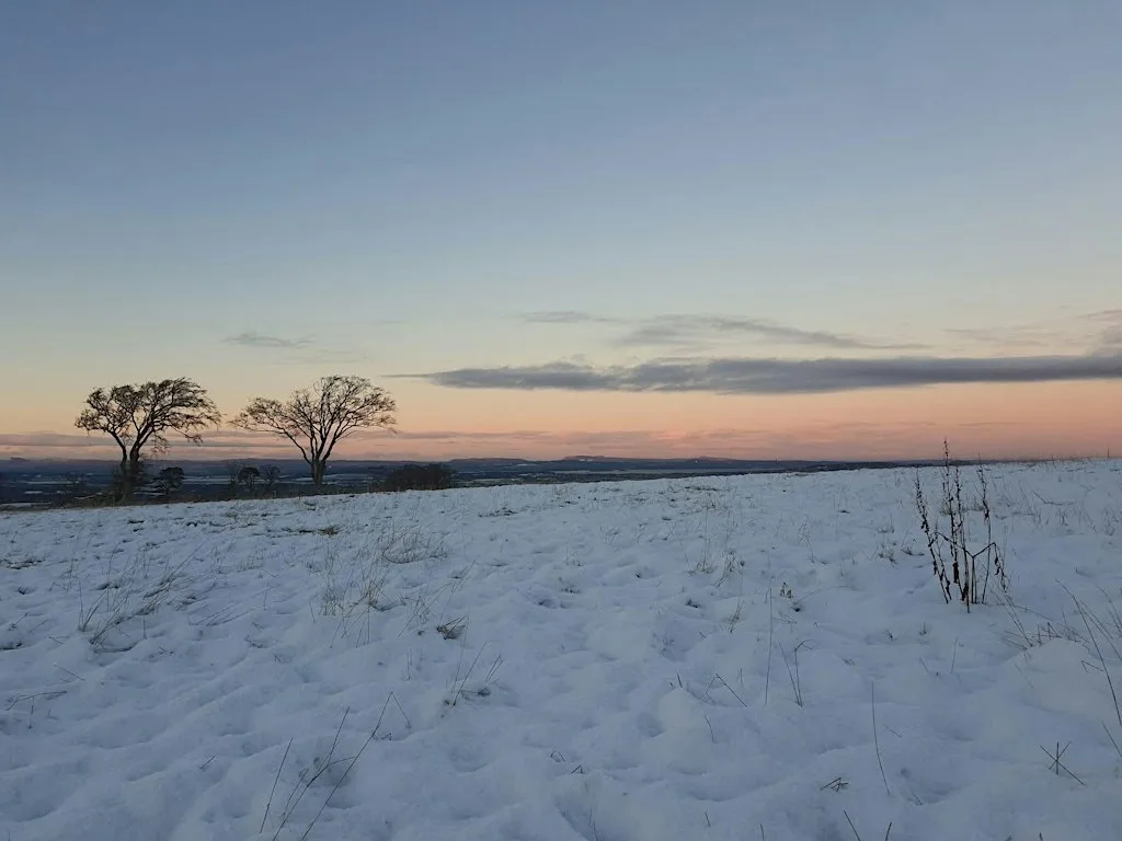 Winter stillness: YOGA & HORSES at Scozia Horse Trekking
