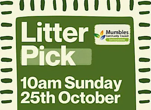Mumbles Community Litter Pick