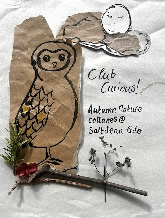 Club Curious: Autumn Nature Collages - Wed 28 Oct, 1:15 at Saltdean Lido