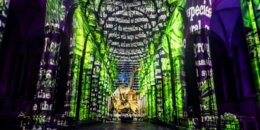 ZEST Sound and Light Show at Exeter Cathedral, supper at Cote Brasserie at Exeter Cathedral