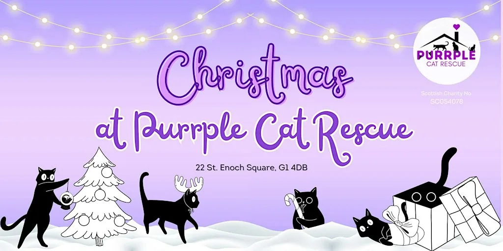 Christmas Baubles Craft with Cats! at Purrple Cat Rescue