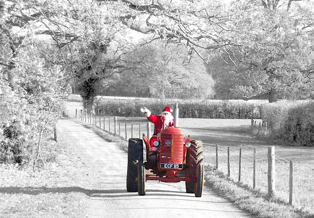 Visit Santa at Balnuith Alpacas at Balnuith Alpacas