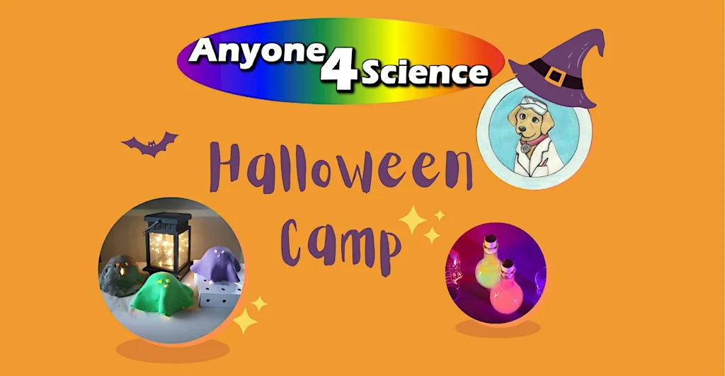 1 Day Halloween Kids Camp in Greystones at Greystones Educate Together National School