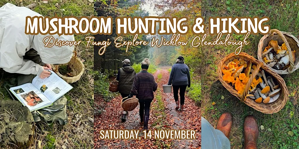 Mushroom Hunting & Hiking in Glendalough at St. Stephen's Green North