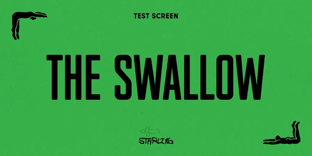 The Swallow at Cinema Café (fka Stix)