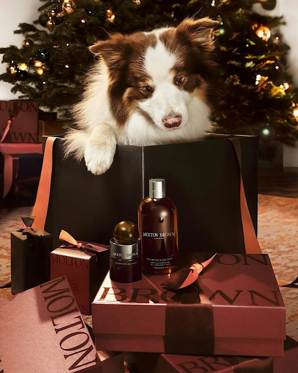 Molton Brown Cheltenham | Late Night Shopping