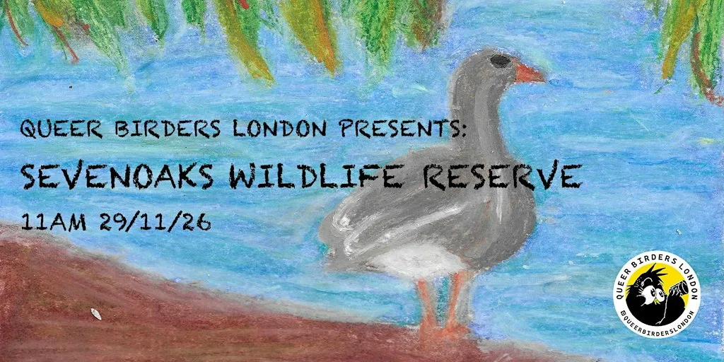 Queer Birders London - Sevenoaks Wildlife Reserve at Sevenoaks Wildlife Reserve - Kent Wildlife Trust