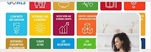 UN SDG Capacity Development Session