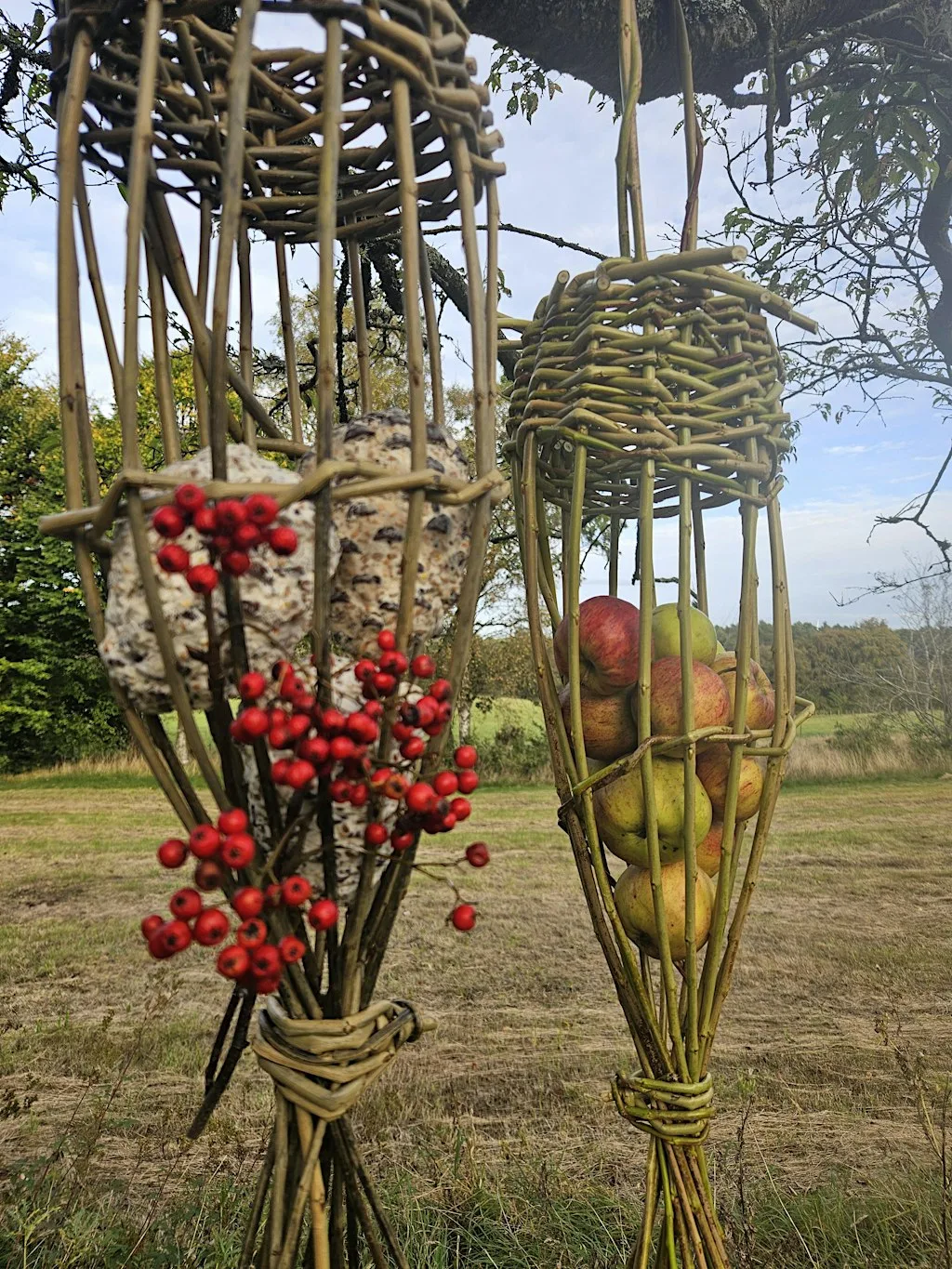 Weave a willow bird feeder at Brucefield Estate