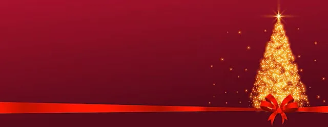 Christmas Dinner Party at Park Inn By Radisson Aberdeen