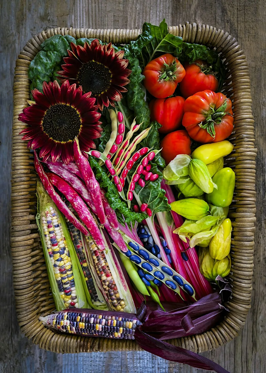 Year Round Veg Masterclass at She Grows Veg Ltd