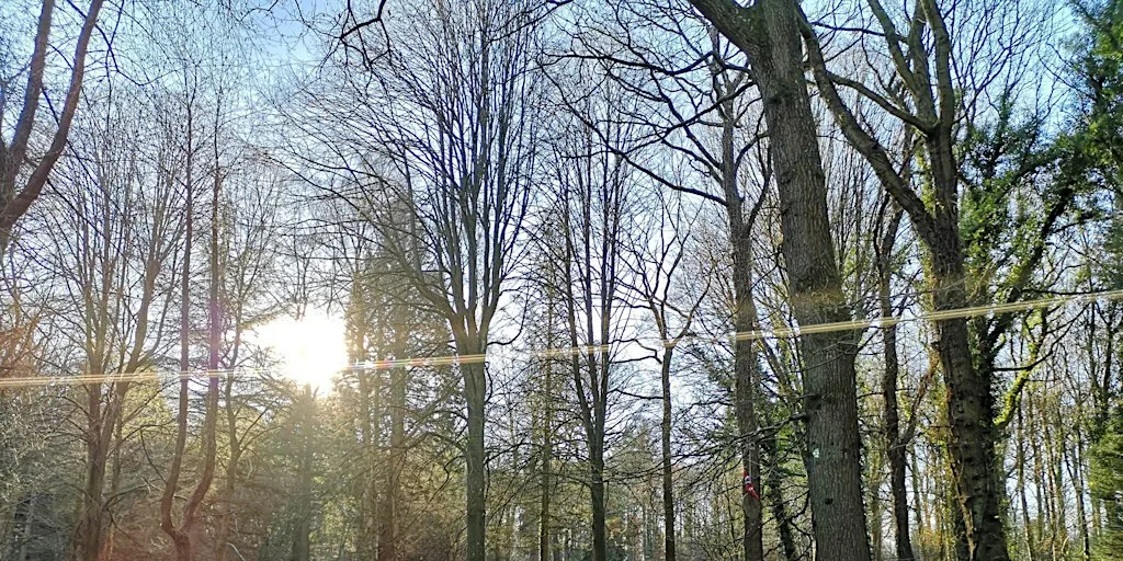 Nature Reserve Work Party - Queenswood - Ride Clearance: Raking and Tidying